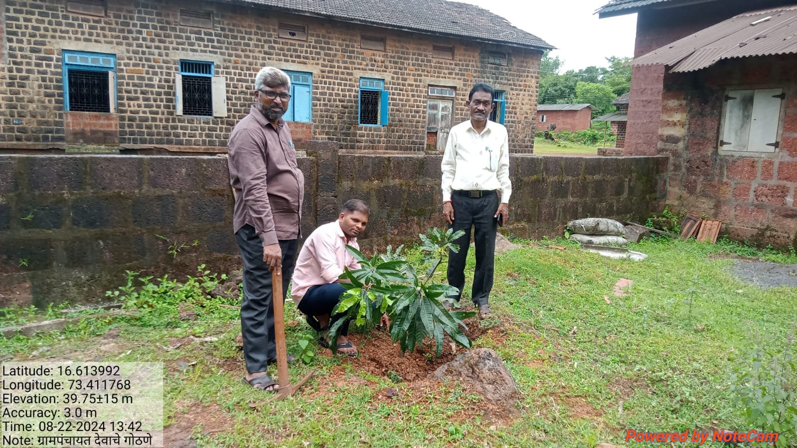 देवाचे गोठणे वृक्षारोपण